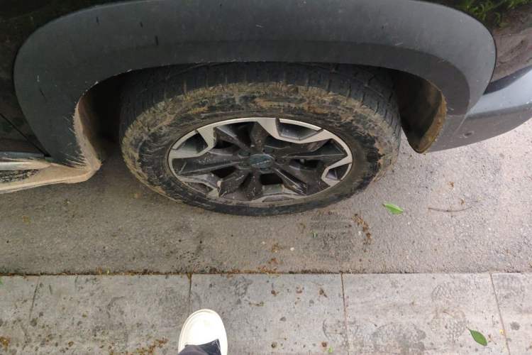 Used Haval DARGO 2021 2.0T DCT 4x4 Chinese Rural Dog Edition Exterior 1