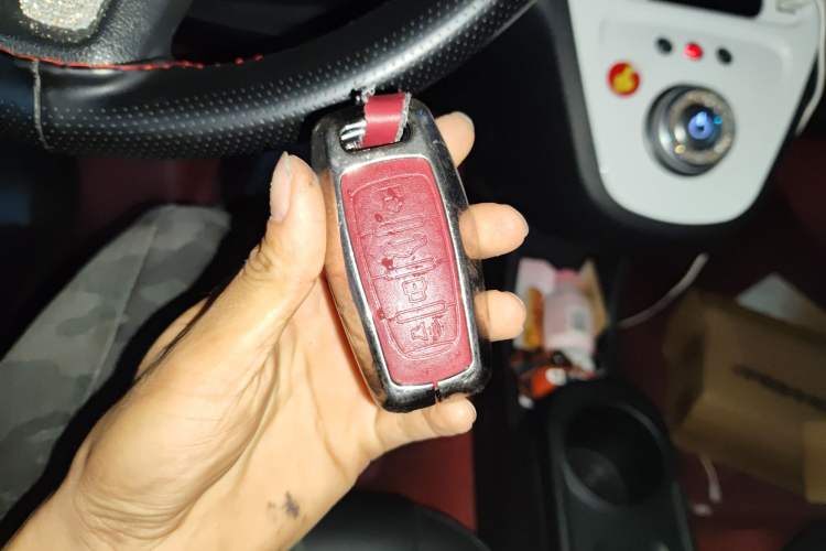 Used ORA White Cat 2020 401 km Flagship Version
