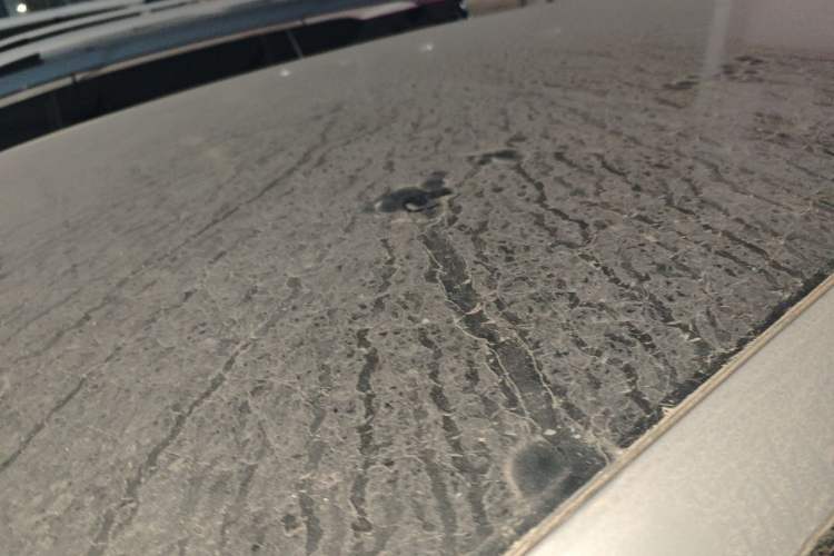 Used CHANGAN NEVO Q07 2025 215 Prestige Edition
