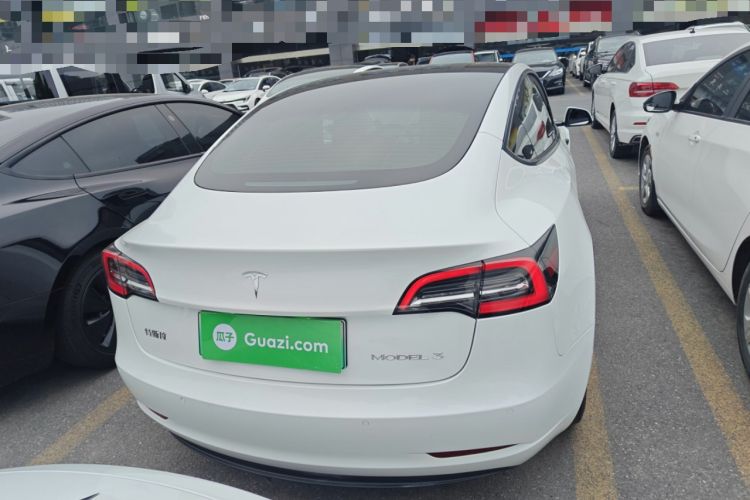 Used Tesla Model 3 2021 Standard Range Rear-Wheel Drive Upgraded Version 3D6 Rear