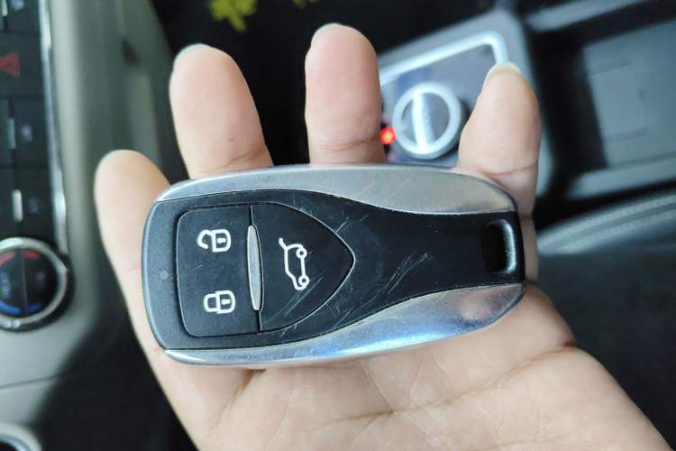 Used Dayun Yuehu 2023 300 Standard Edition
