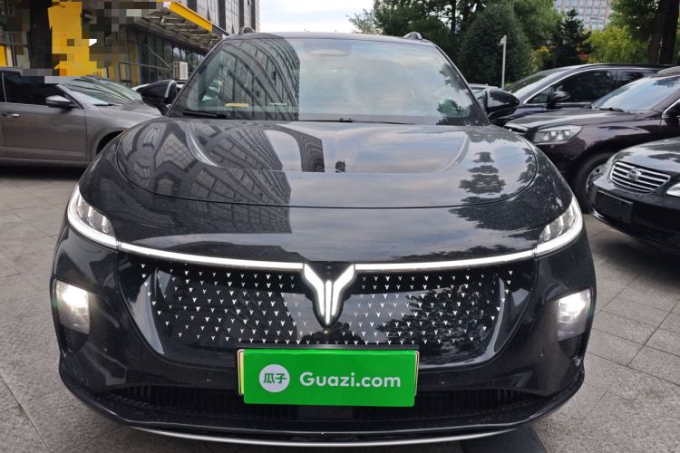 Used VOYAH COURAGE 2024 Four-Wheel Drive Global Edition Front