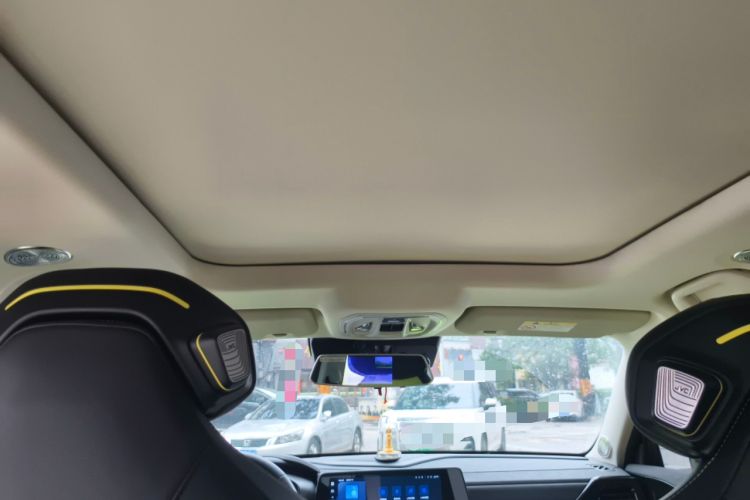 Used Haval X DOG 2022 1.5T DCT Four-Wheel Drive Trendy Wild Edition Headliner