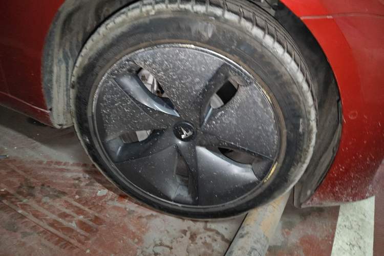 Used Tesla Model 3 2019 Standard Range Rear-Drive Upgraded Version
