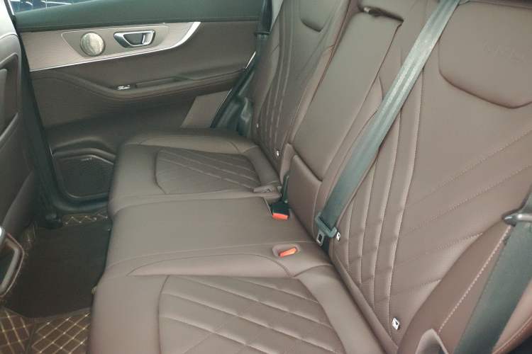 Used Chery Tiggo 8 PRO 2024 Champion Edition 290T Two-Wheel Drive Peak Version 5 Seats Left Rear Seat