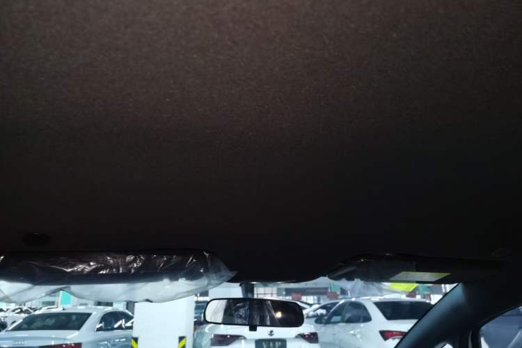 Used BYD Dolphin 2025 420km Free Edition Headliner