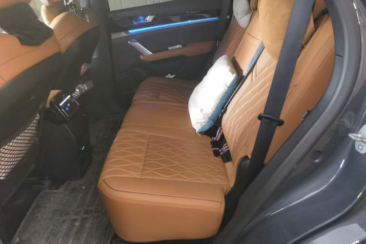 Used BYD Tang New Energy 2022 DM-p 215KM Four-Wheel Drive Flagship Model Left Rear Seat