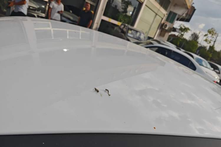 Used Chery Arrizo 5 2024 Edition People's Benefit Version 1.5L CVT Fashion Model
