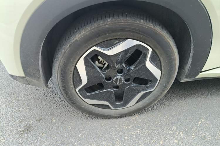 Used BYD Dolphin 2021 405 km Fashion Edition Exterior 5