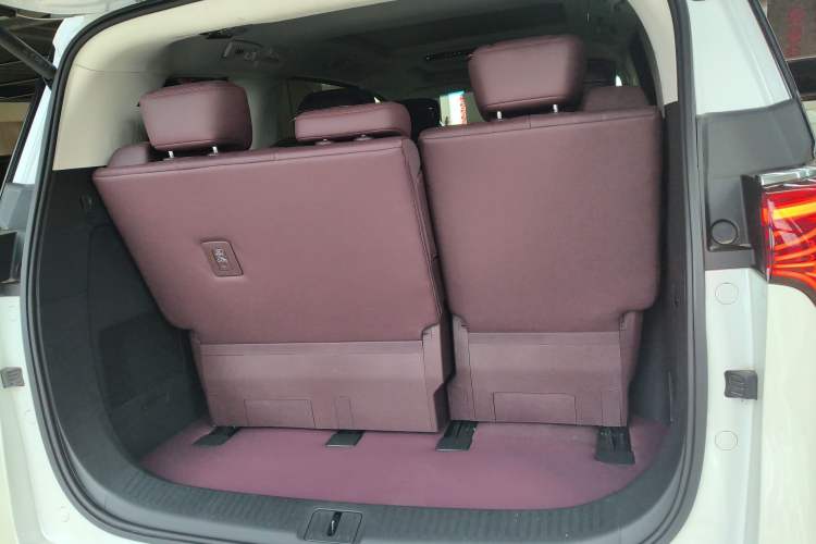 Used Buick Century 2025 2.0T Seven-Seater Yinshi Edition