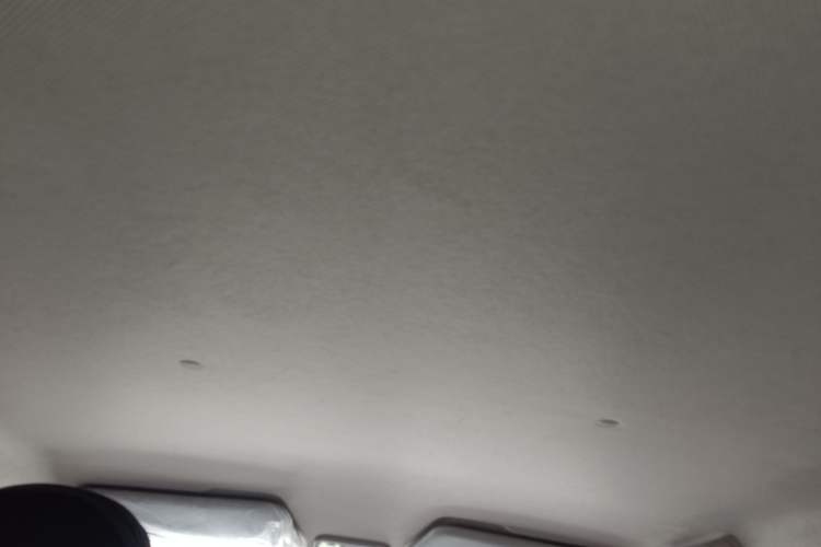 Used Wuling Hongguang MINIEV 2022 Zizai Version Lithium Iron Phosphate Headliner