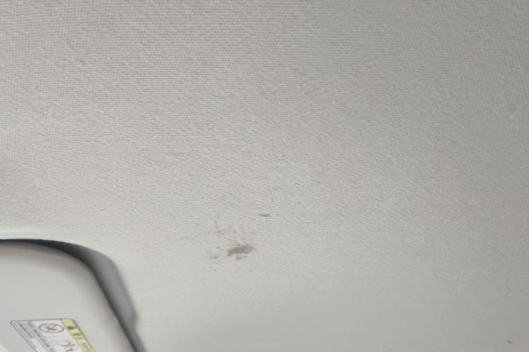 Used Chery New Energy Little Ant 2021 200 000-Yuan Ant Fan Edition Talent Version Lithium Iron Phosphate 301 km