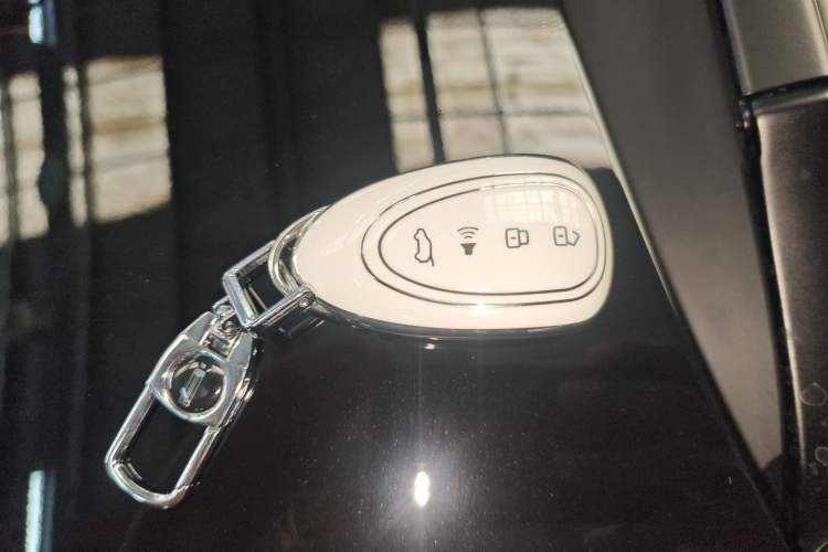 Used Wey Gaoshan 2025 Four-Wheel Drive Alpine 8