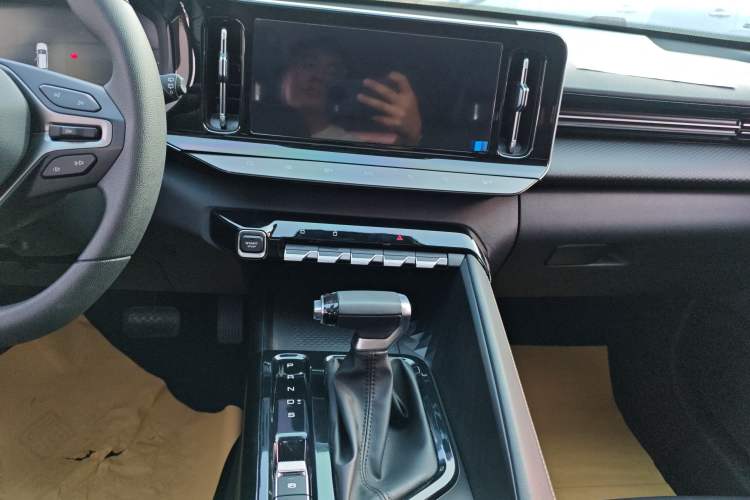 Used Baojun Valli 2021 1.5T Yili Pasture CVT Luxury Model