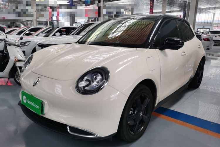 Used ORA Good Cat 2024 401 km Luxury Version