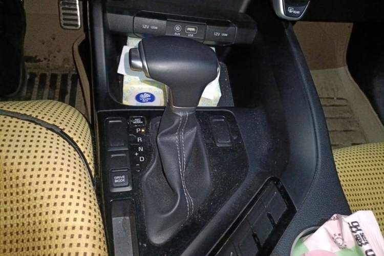 Used Kia KX7 2020 2.0T Automatic Two-Wheel Drive GLS 7-Seater
