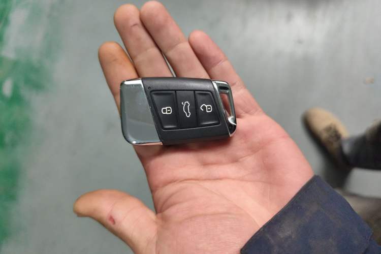 Used Volkswagen Magotan 2020 330TSI DSG Luxury Edition
