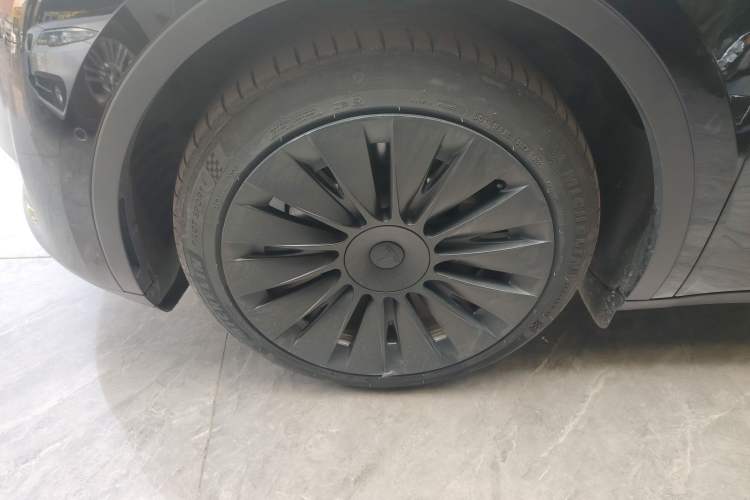 Used Tesla Model Y 2021 Standard Range Rear-Wheel Drive Version
