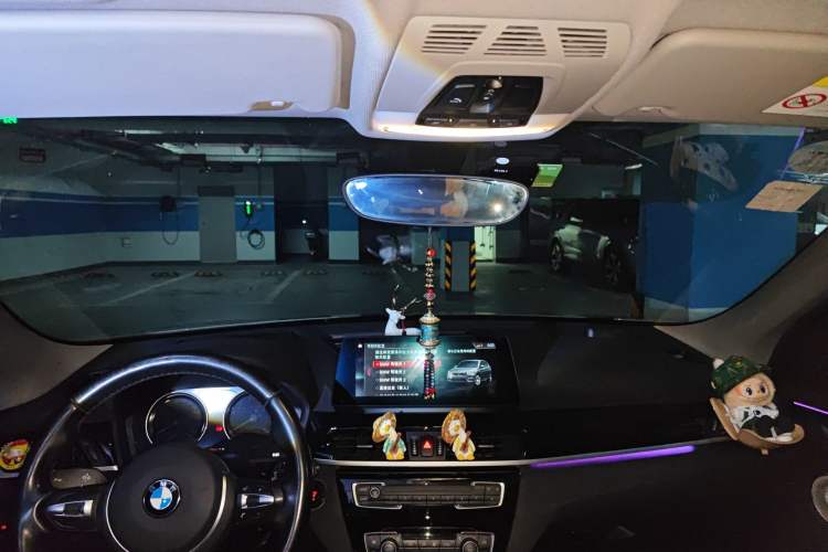 Used BMW X1 2020 sDrive20Li Premium Edition Headliner