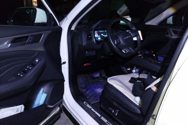 Used Haval F7 2020 2.0T Two-Wheel Drive i-Van