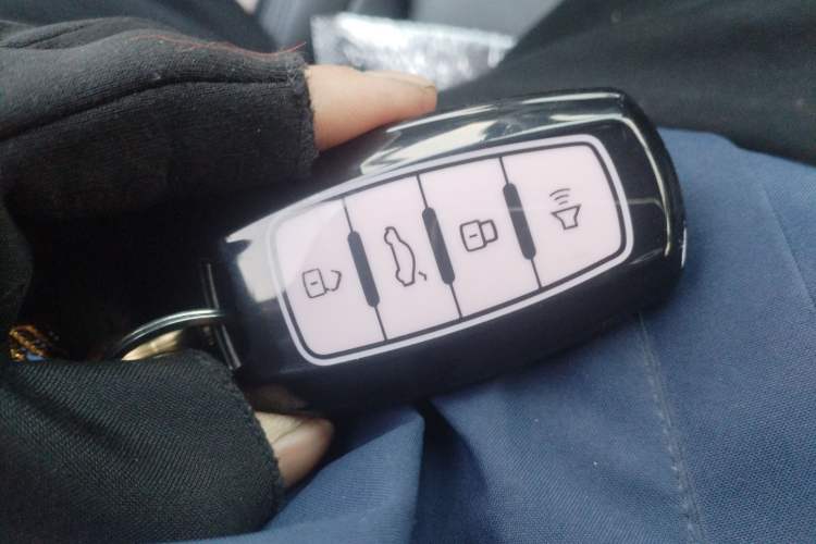 Used Haval F7 2020 1.5T Two-Wheel Drive i-Trend
