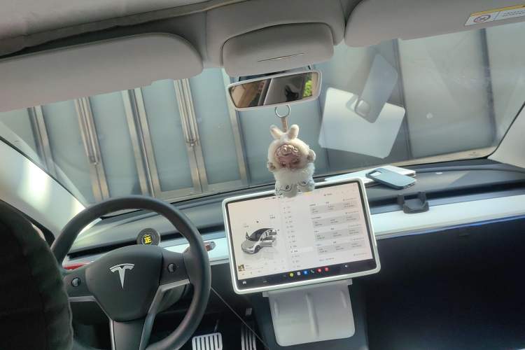 Used Tesla Model 3 2022 Rear-Wheel-Drive Version
