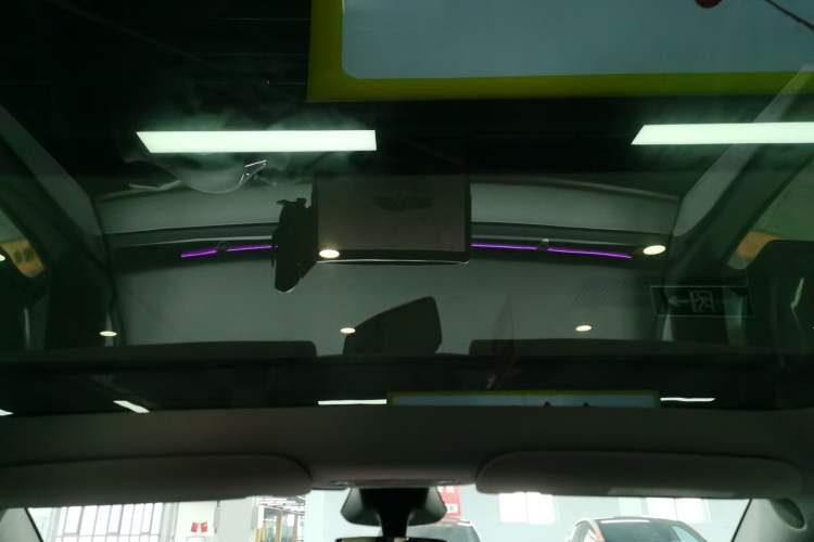 Used Tesla Model Y 2024 Rear-Wheel-Drive Version Headliner