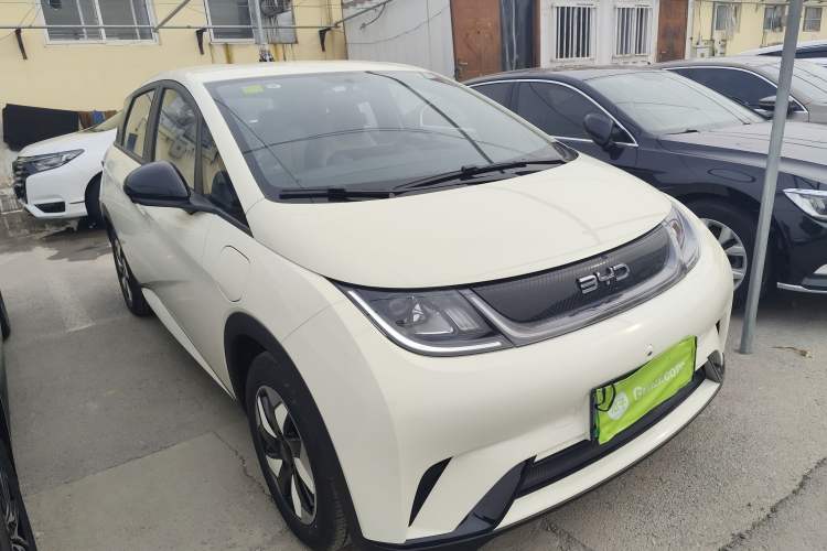 Used BYD Dolphin 2025 420km Free Edition