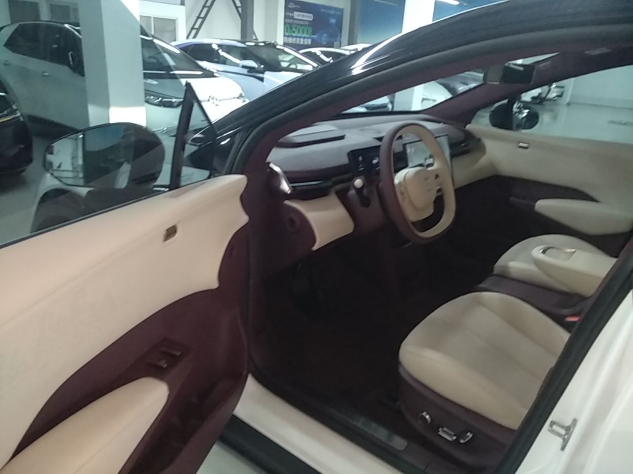 Zeekr X 2023 Rear-Drive ME Version 5 Seats — снимка 18