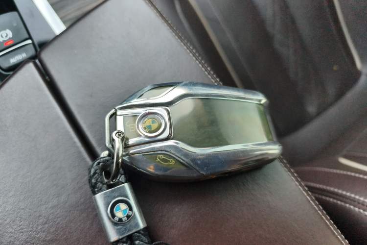 Used BMW 5 Series New Energy 2019 530Le Luxury Package
