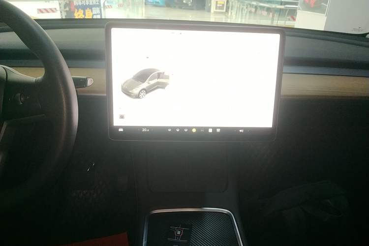 Used Tesla Model Y 2021 Standard Range Rear-Wheel Drive Version
