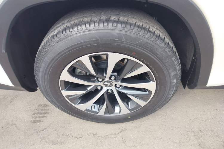 Used Lexus RX 2020 Revised Version 300 Two-Wheel Drive Elite Edition
