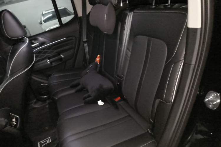 Used Tank 300 2024 2.0T Conqueror