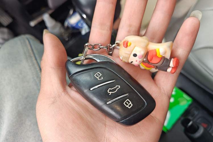 Used Roewe Clever 2021 302km Excellence Edition