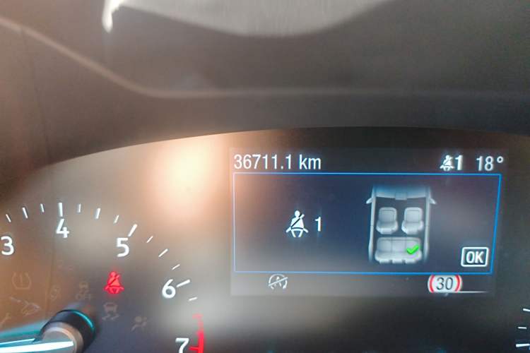 Used Ford Focus 2020 Hatchback EcoBoost 180 Automatic ST Line