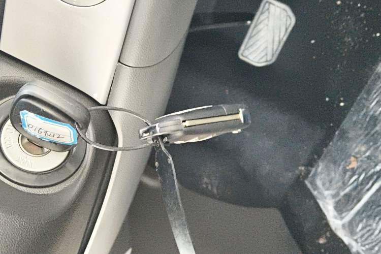 Used Qiyuan Lumin 2024 130km Qingyue Version
