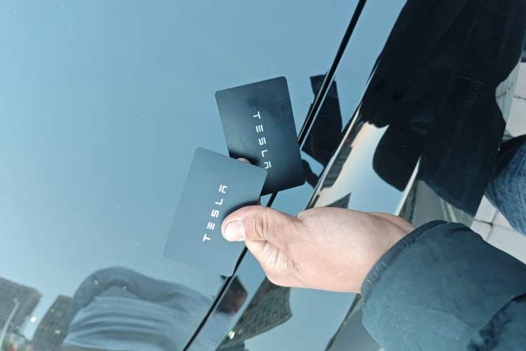 Used Tesla Model 3 2020 Revised Version Standard Range Rear-Wheel Drive – Upgraded Edition
