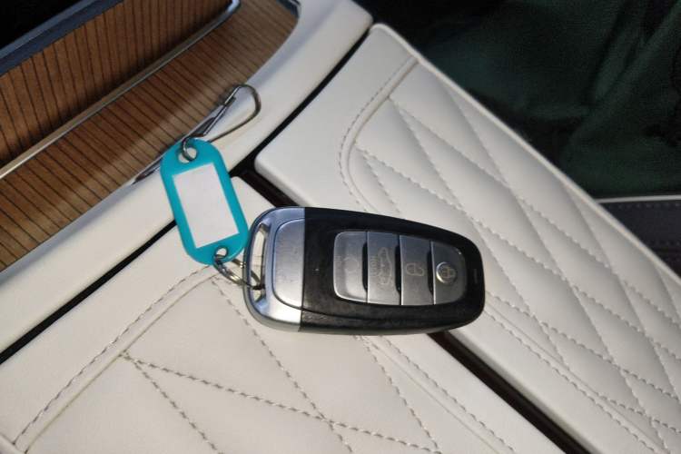 Used Hongqi E-HS9 2021 460 km Range Flagship Edition Six-Seater Vehicle Key