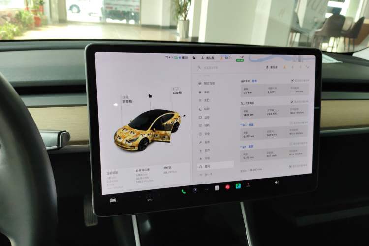 Used Tesla Model 3 2019 Standard Range Rear-Wheel Drive Upgraded Version (60 kWh)