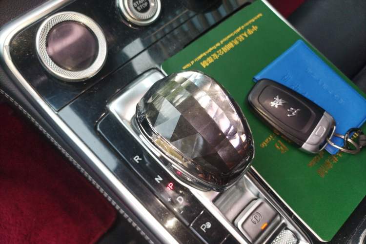 Used Hongqi H9 2020 2.0T Smart Connect Flagship Edition Gear Lever