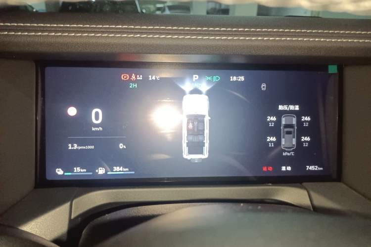 Used Tank 300 New Energy 2025 Hi4-T