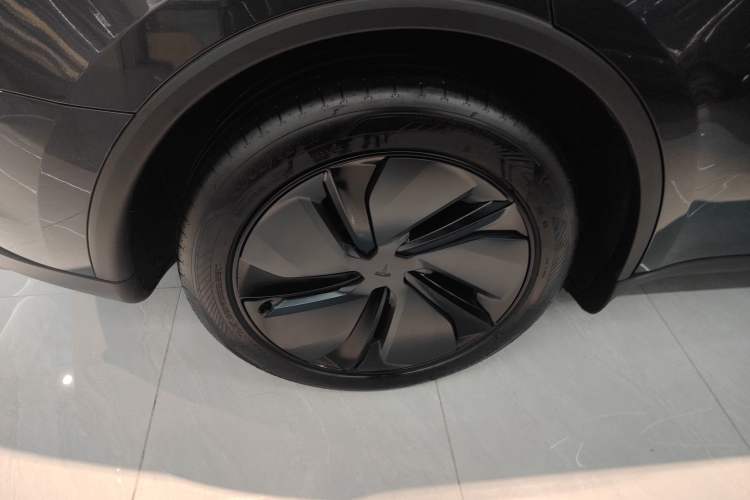 Used Tesla Model Y 2025 Rear-Wheel-Drive Version Exterior 5