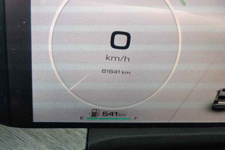 Used Tank 500 2023 3.0T Business Edition Realm-Setting 7-Seater Odometer Close Up