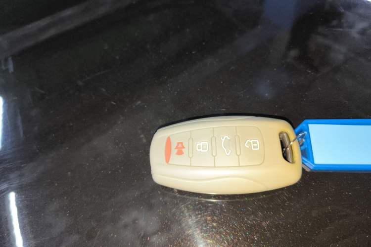 Used Haval DARGO 2021 1.5T DCT Two-Wheel Drive Border Collie Edition