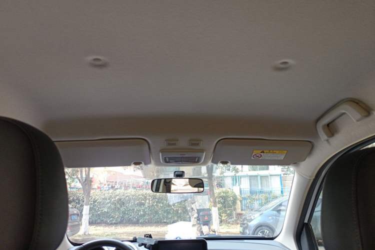 Used ORA Black Cat 2019 351 km Family Edition