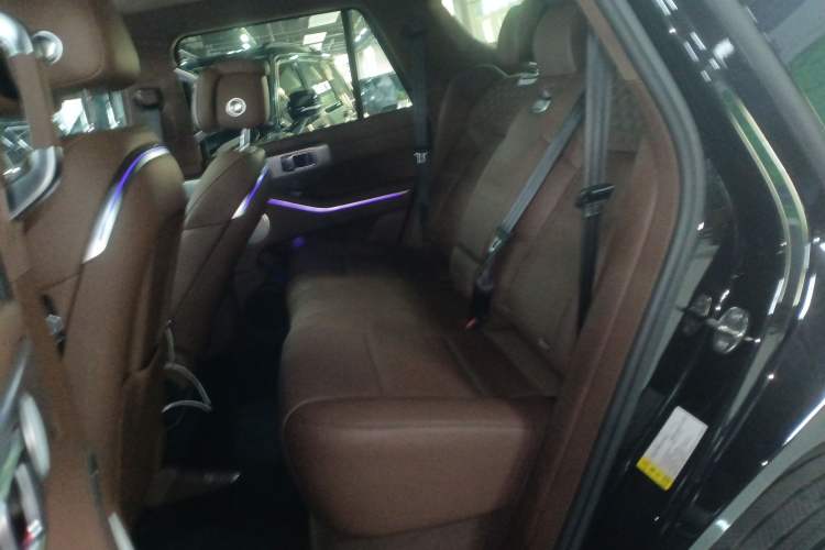 Used Tank 700 New Energy 2024 Hi4-T Extreme Edition Left Rear Seat