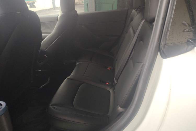 Used Tesla Model Y 2022 Revised Version Rear-Wheel Drive Left Rear Seat