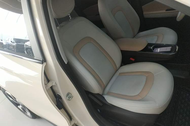 Used JAC Yiwei 3 2023 505km Pro