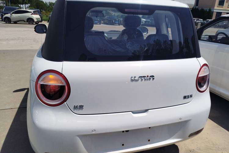 Used CHANGAN Lumin 2023 205km Xiangqin Version Exterior 4