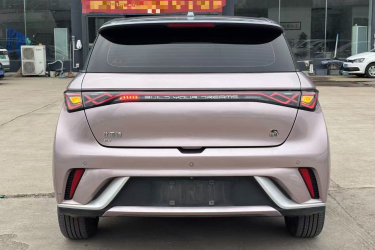 Used BYD Dolphin 2021 405 km Fashion Edition Rear